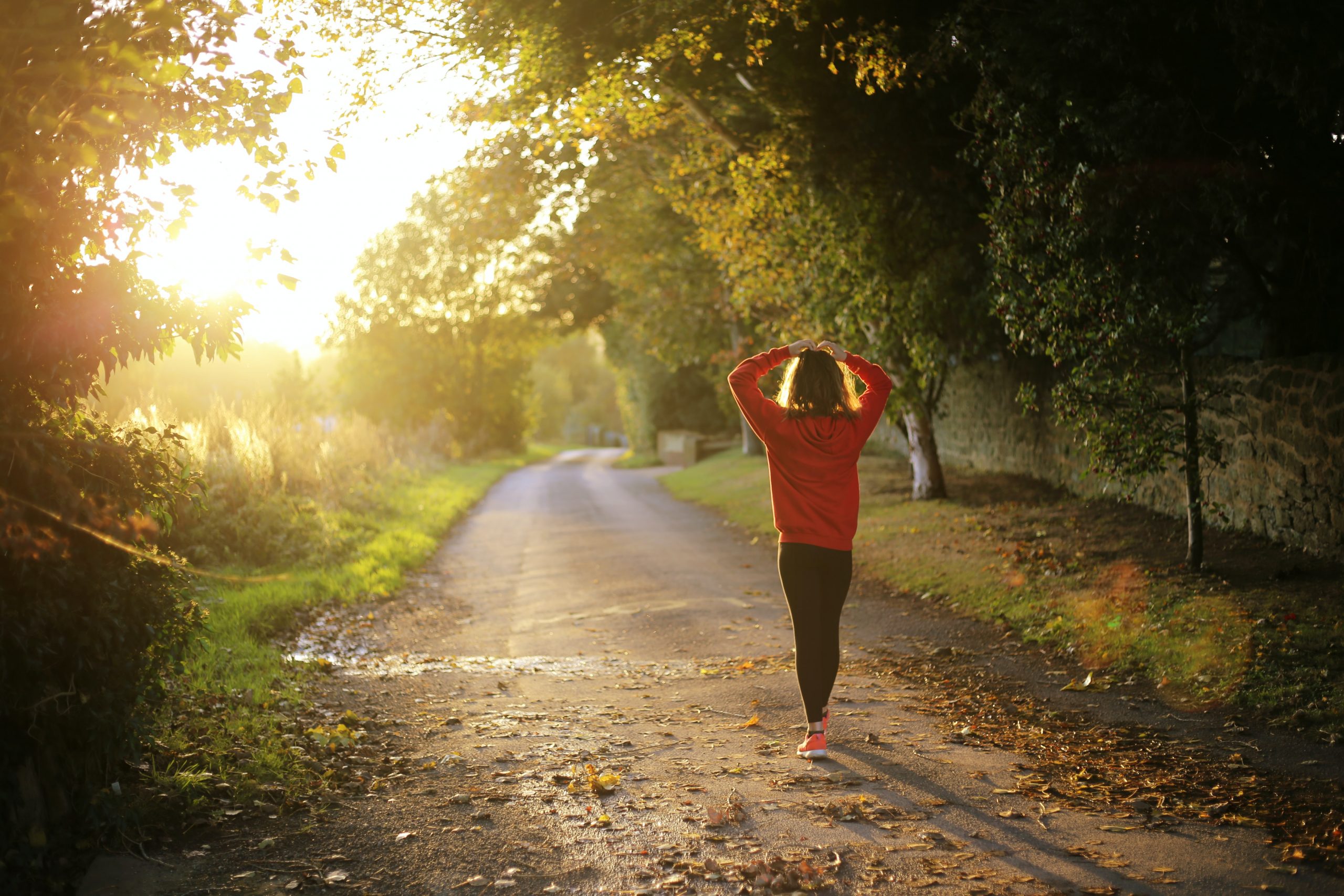 jogger walked on empty rural road, sunlight, trees