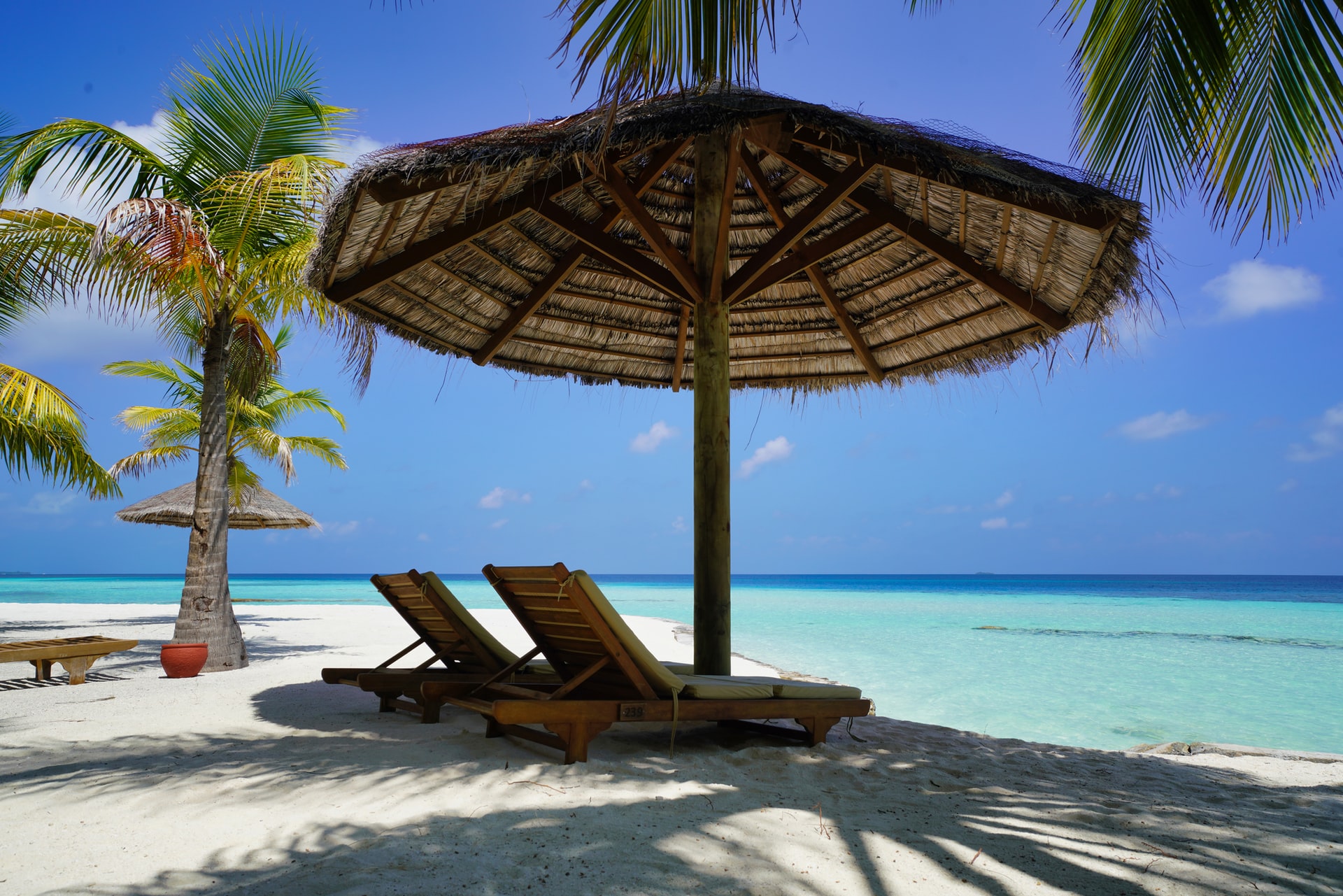 sunny tropical beach, tan beds under parasol