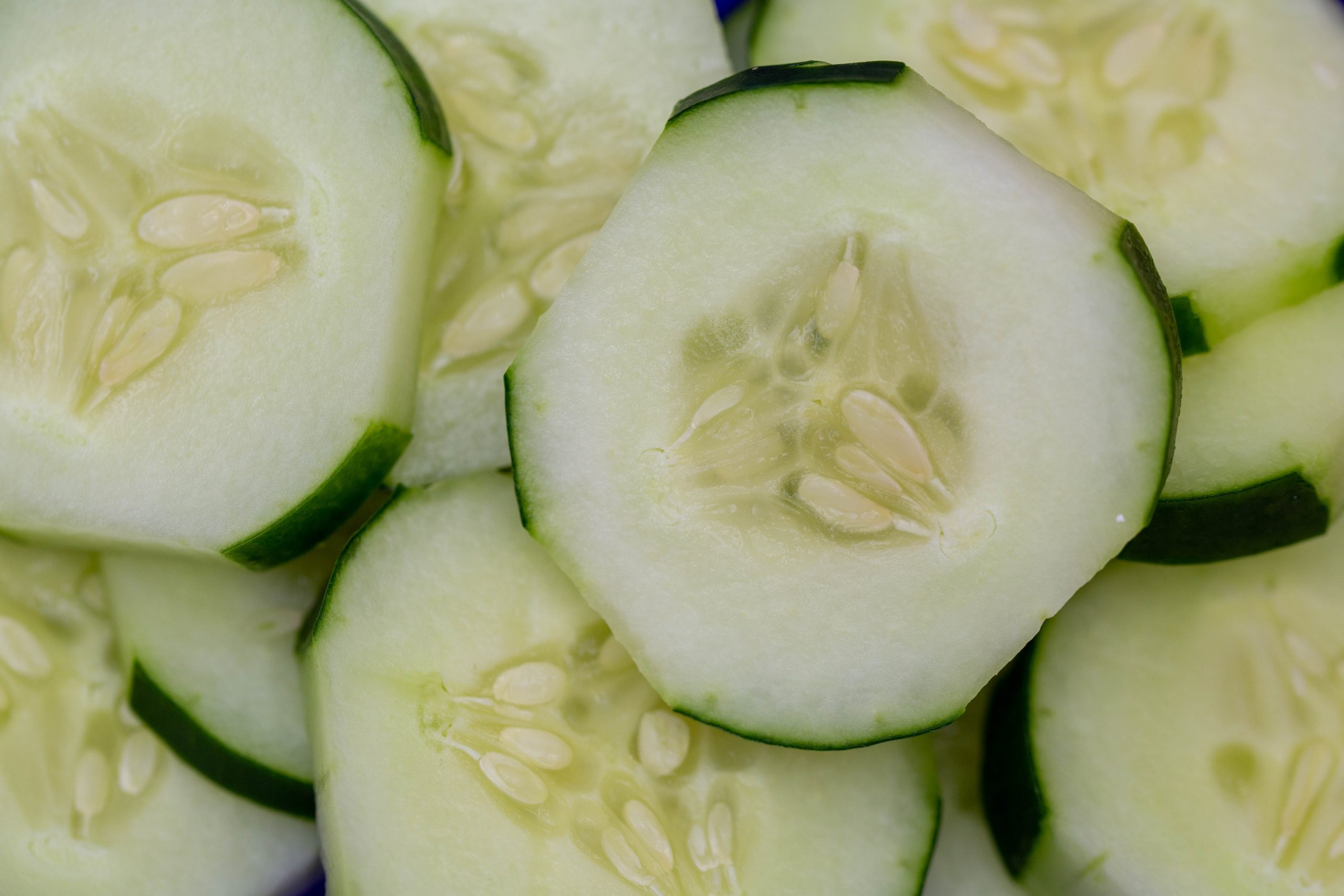 closeup of cucumber slices